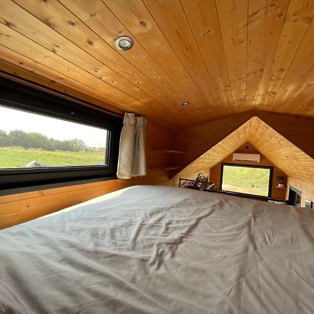 Myinsolite - Tiny-House, Jacuzzi, Brasero, Piscine 에그모르트 외부 사진
