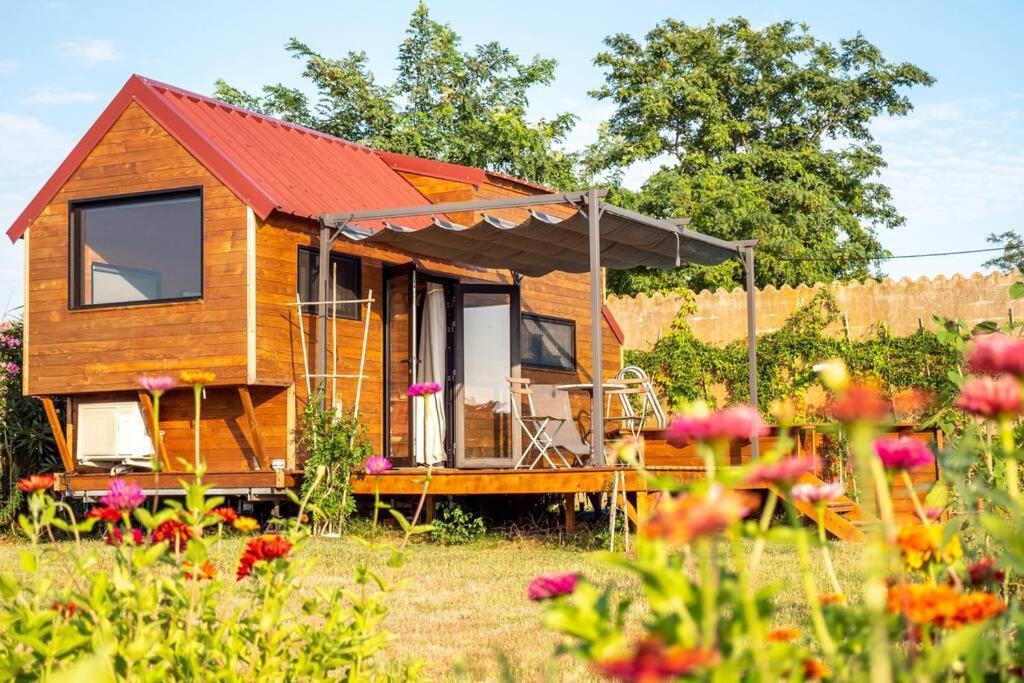 Myinsolite - Tiny-House, Jacuzzi, Brasero, Piscine 에그모르트 외부 사진